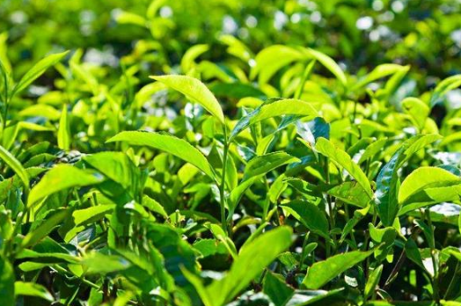 北京临时工日结最新(最新北京临工日结报道)