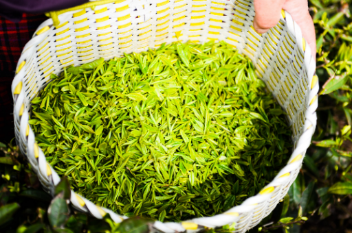 艾滋病阻断药多久吃有效-使用阻断药治疗艾滋病要多久可以见效？