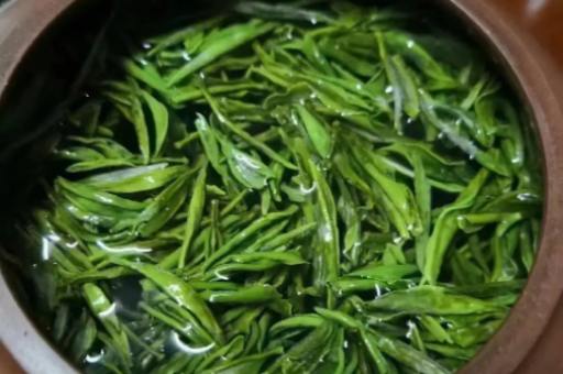 巴厘岛的一次体验日记-体验巴厘岛的美妙之旅